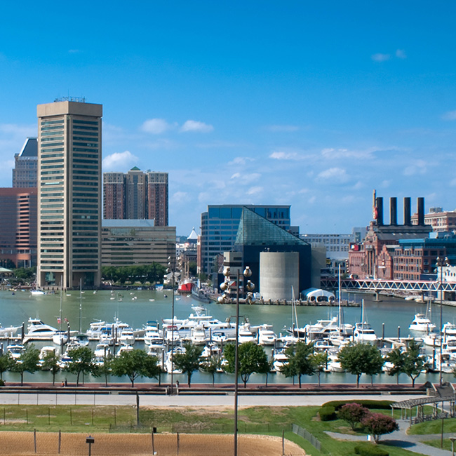Baltimore Chapter Webcast