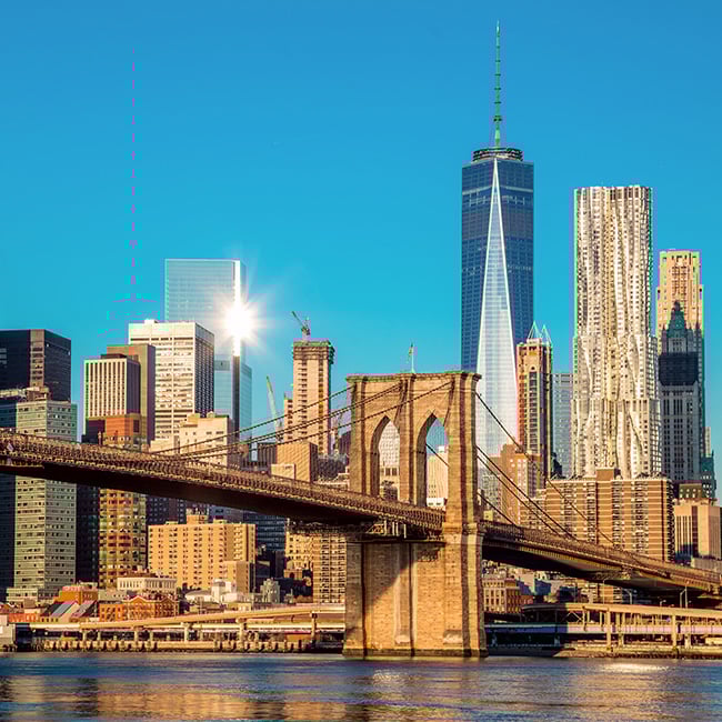NY Metropolitan Area Chapter webcast