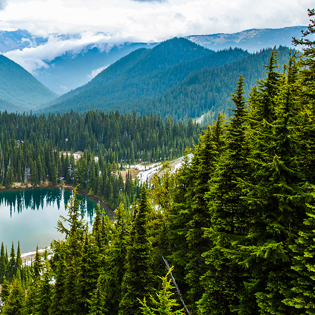 Pacific Northwest Chaper Webcast
