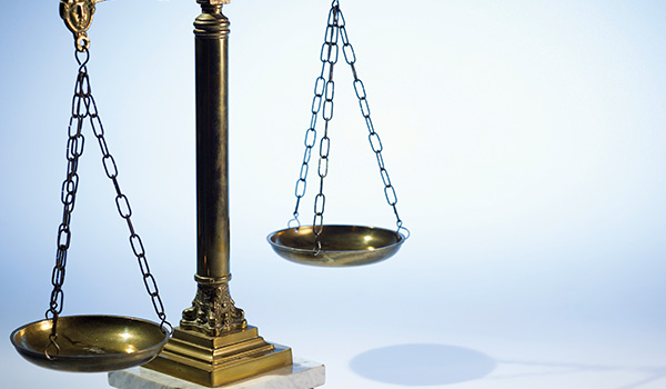 Legal Update